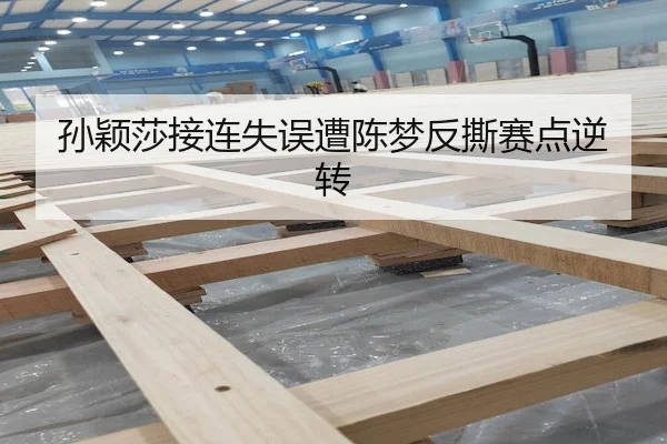 孙颖莎接连失误遭陈梦反撕赛点逆转 | M88